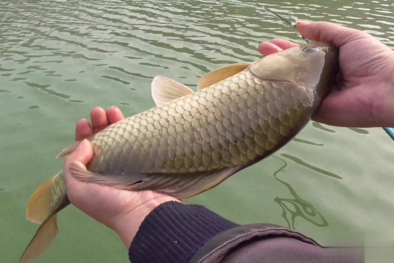 amp, 个要领 amp, 个要领